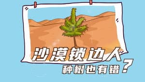 Episodio 11