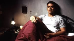 Puños rosas — foto 2