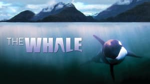 The Whale — foto 1