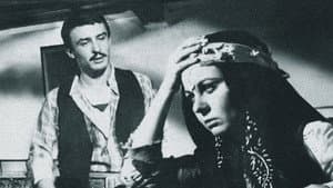Ezo Gelin — foto 1