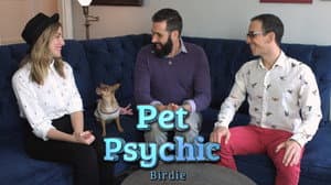 Episodio 3