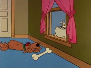 Episodio 13