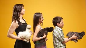 Fous des animaux — foto 5