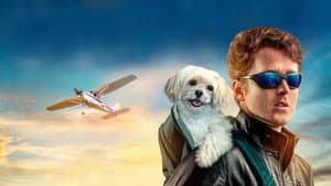 Perro aéreo — foto 2