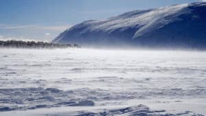 Terres sauvages du Grand Nord — foto 1