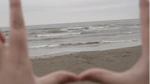 Within Eyeshot — foto 1