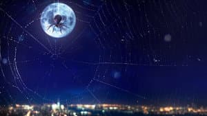 Icons Unearthed: Spider Man — foto 2