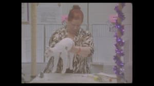 Considering Cats — foto 2