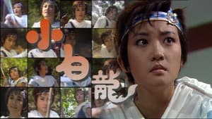 小白龍 — foto 1