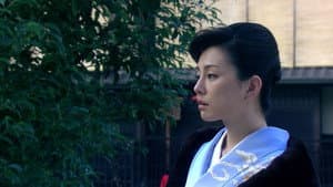 黒革の手帖 — foto 4