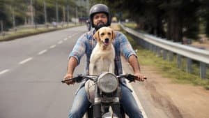 Charlie: Un perro especial — foto 8