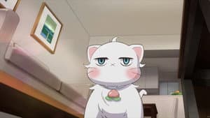 Episodio 11