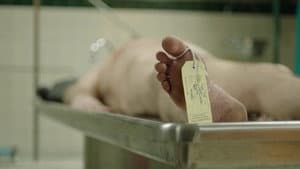The Dead Center — foto 2