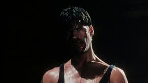 Night of the Warrior — foto 9