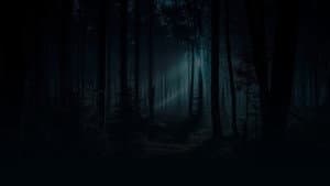 The Haunting Lodge — foto 1