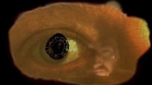 You & Eye — foto 3