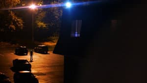 The Things With The Glowing Green Eyes — foto 1