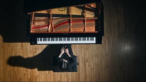 Lesson — foto 1