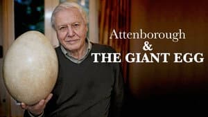 Attenborough and the Giant Egg — foto 1
