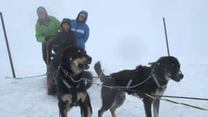 Episodio 8