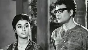 এখানে পিঞ্জর — foto 3