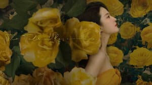玫瑰的故事 — foto 6