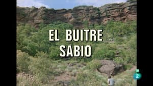 Episodio 43