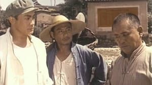 艳阳天 — foto 1