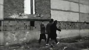 Провинциальная жизнь — foto 1