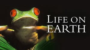Life on Earth — foto 2