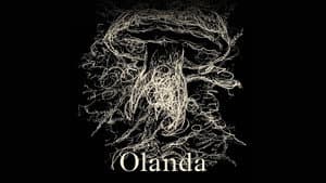 Olanda — foto 9