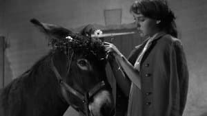 Au hasard Balthazar — foto 1