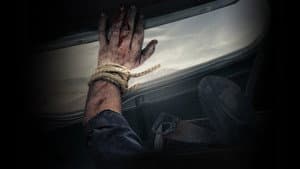I Survived a Serial Killer — foto 1