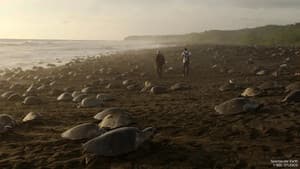 Spectacular Earth — foto 2