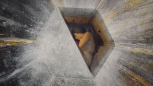 Tin Can — foto 5