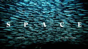 Space — foto 1