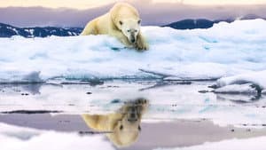 Frozen Planet II — foto 4