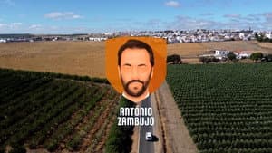 Episodio 12
