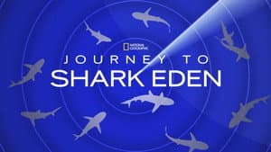 Journey to Shark Eden — foto 1