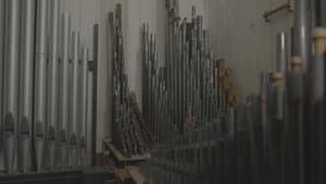 ORGAN — foto 1