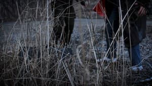 The Mysteriously Mystifying Case of the Embezzlement of Government Funds — foto 1