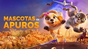 Mascotas En Apuros — foto 7