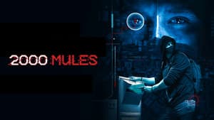 2000 Mules — foto 6