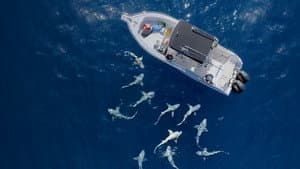 Jaws vs. Boats — foto 1