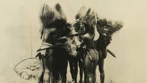 Leopard Men of Africa — foto 1