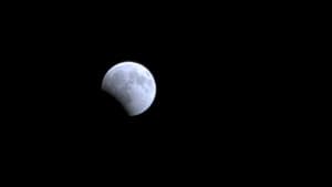 Blood Moon's Dance — foto 1