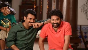 కాటమరాయుడు — foto 7