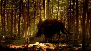 Ma famille et le loup — foto 1
