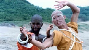 Shaolin Dolemite — foto 1