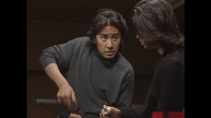 協奏曲 — foto 11